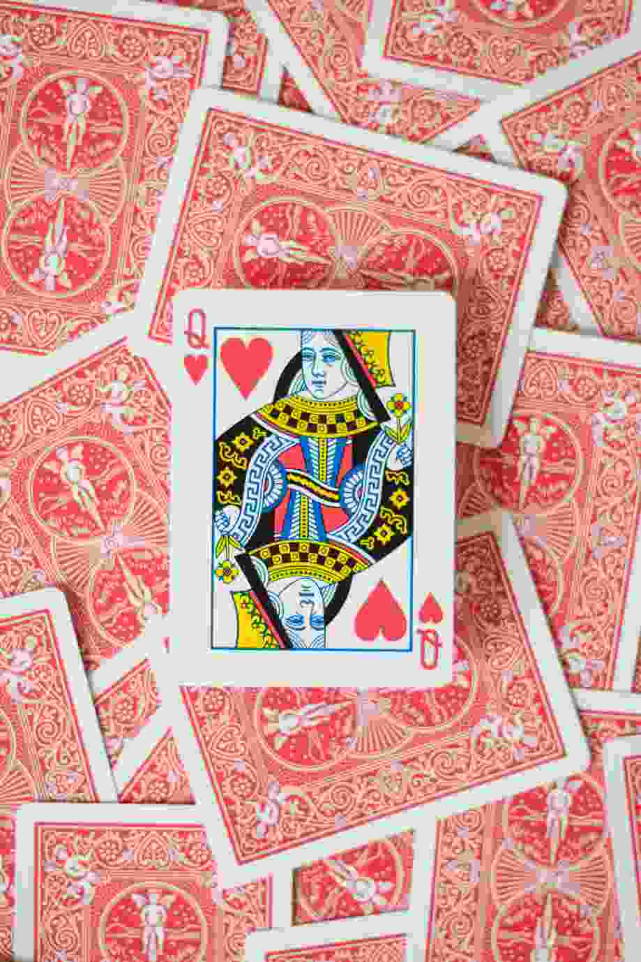 pelican casino online